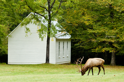 church on the Little Cataloochee Trail