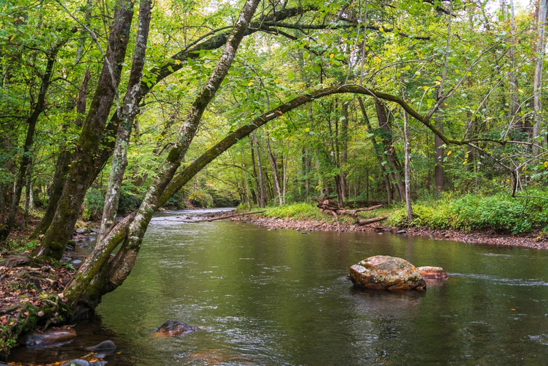 smoky mountain swimming holes