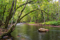 smoky mountain swimming holes