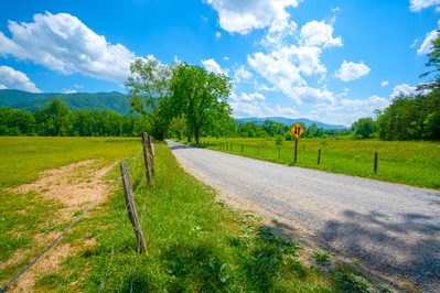cades cove tennessee