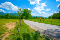 cades cove tennessee