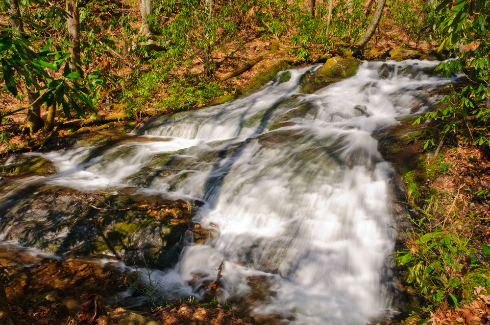 chasteen creek cascades