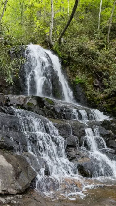 Laurel Falls in the Smoky Mountains
