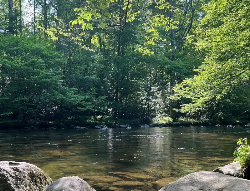 townsend wye
