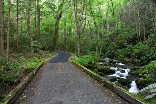 Ely's Mill is at the end of Roaring Fork Motor Nature Trail