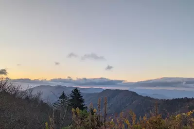 smokies fall foliage at charlies bunion