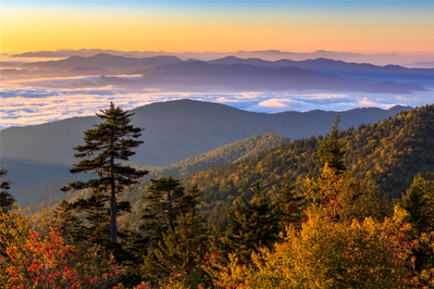 smokies fall foliage at kuwohi