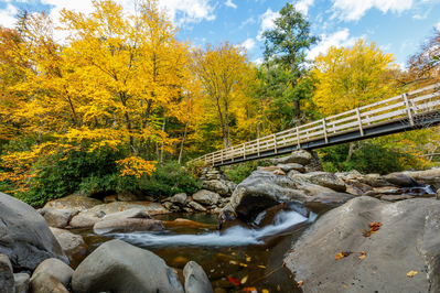 smokies fall foliage at chimney tops
