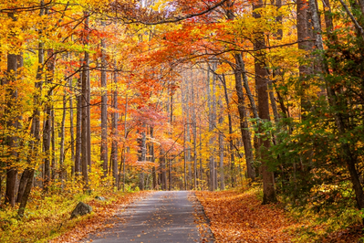 fall in the smokies on roaring fork motor nature trail 