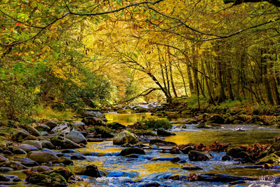most of Smoky Mountain National Park is open during 2025 government shutdown