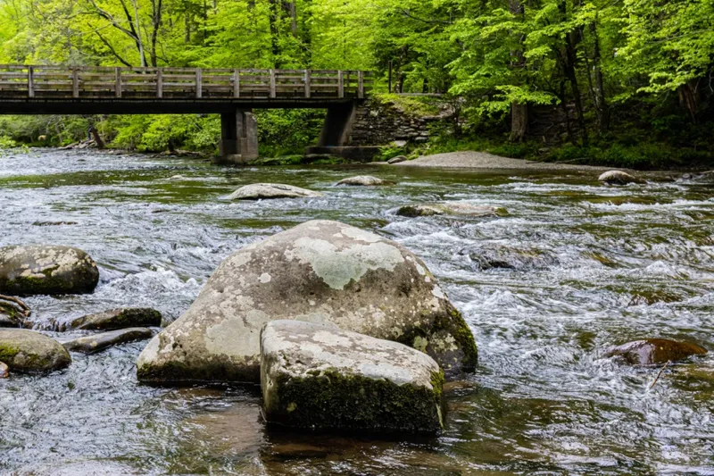 metcalf bottoms is one of the best kid friendly Smoky Mountain hiking trails