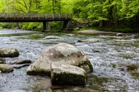 metcalf bottoms is one of the best kid friendly Smoky Mountain hiking trails