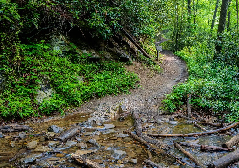 gsmnp hiking trail