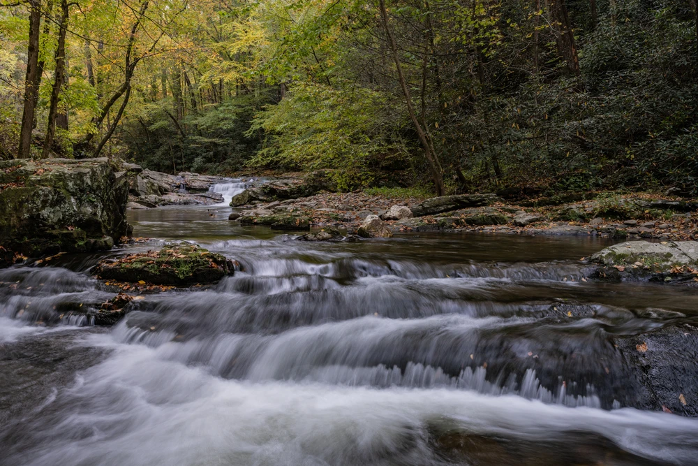 west prong near tremont tn