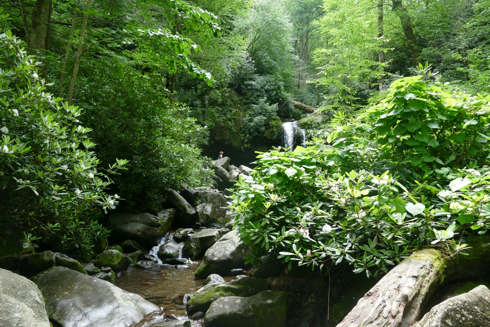 trickling and talking falls on the road prong trail