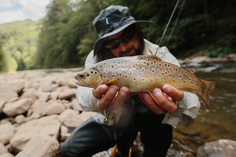 trout fishing great smoky mountains