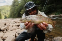 trout fishing great smoky mountains