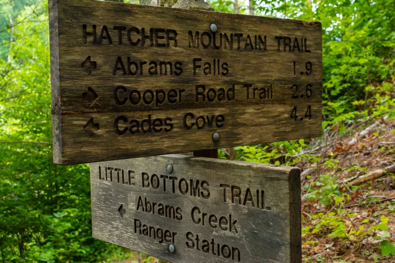 little bottoms trail cades cove