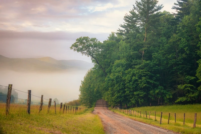gravel road in Cades Cove