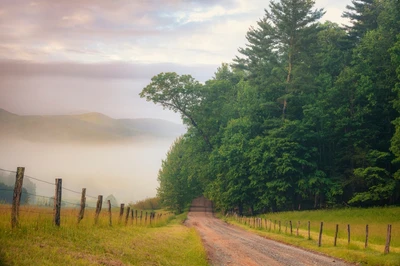 gravel road in Cades Cove