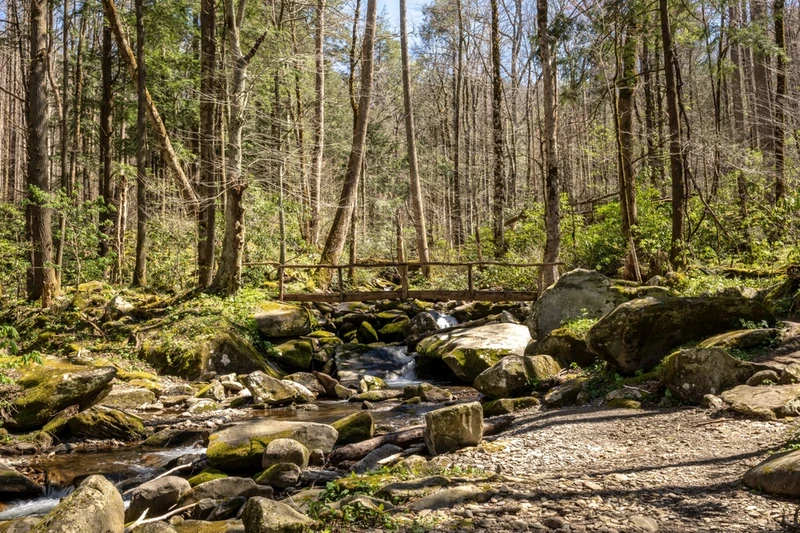 Cosby Creek in Cosby area