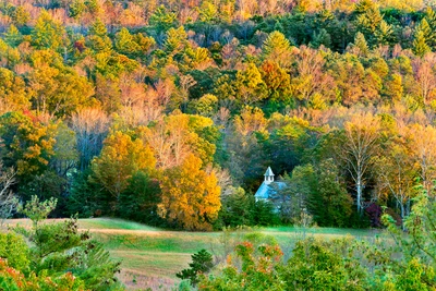 cc fall