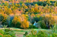 cc fall