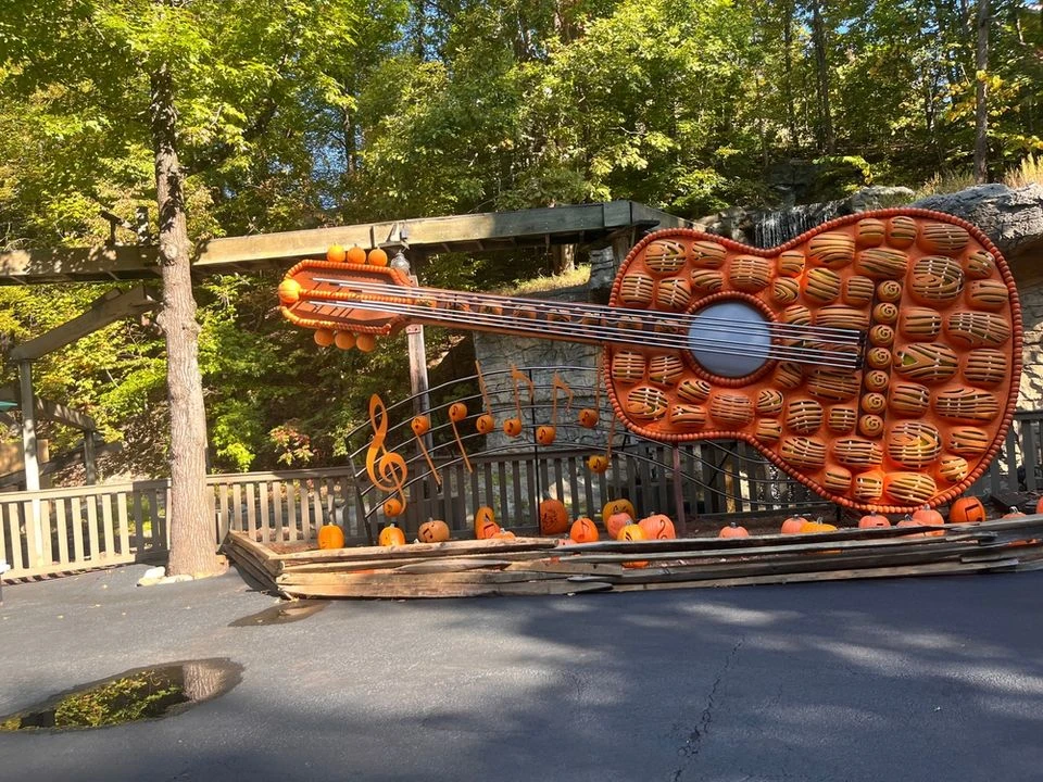 dollywood copy