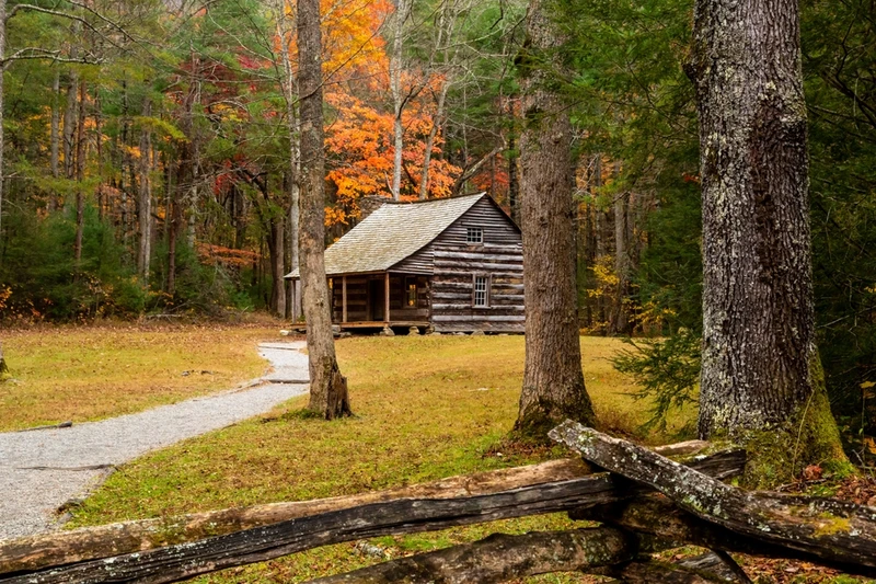 carter shields cabin cades cove