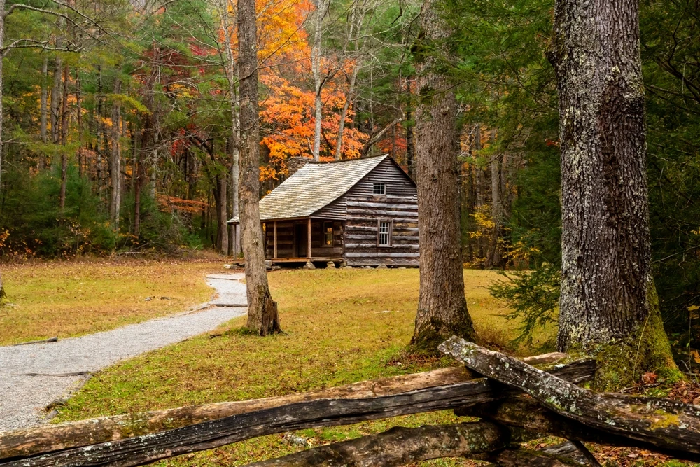 cabin in fall