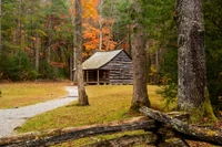 carter shields cabin cades cove