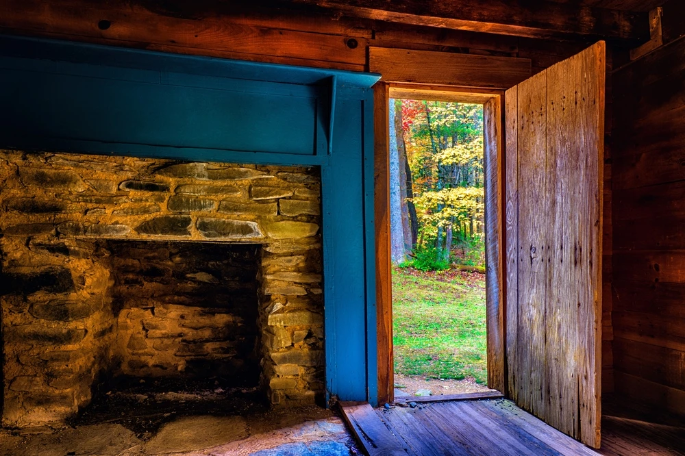 carter shields cabin