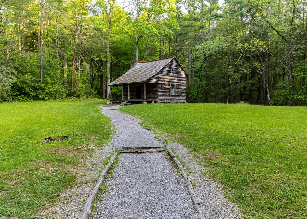 carter shields cabin