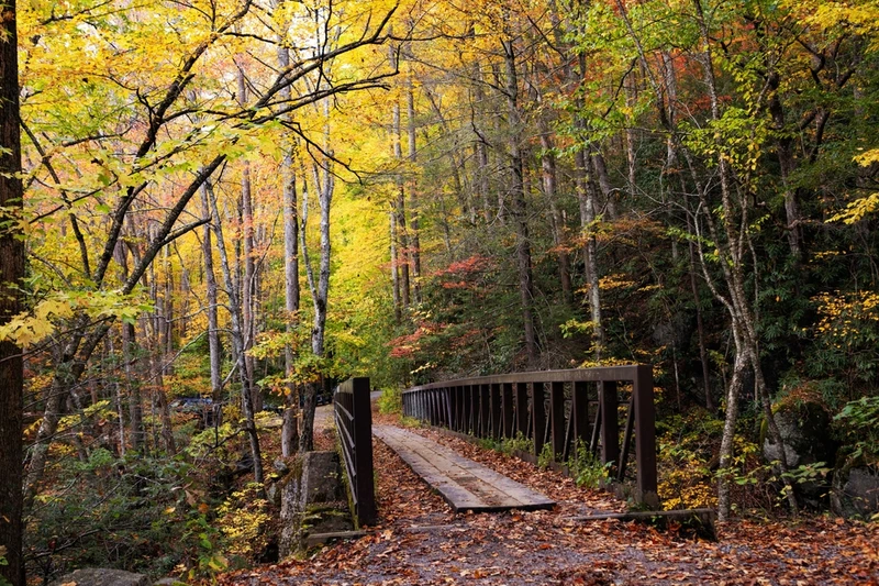 tremont smoky mountains