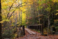 tremont smoky mountains