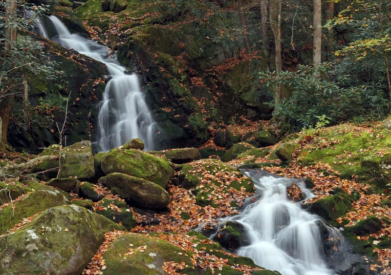 mouse creek