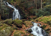 mouse creek