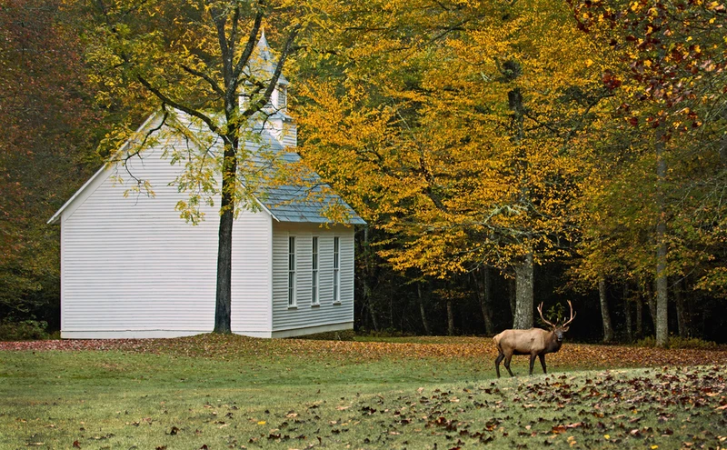 palmer chapel cataloochee north carolina