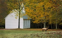 palmer chapel cataloochee north carolina